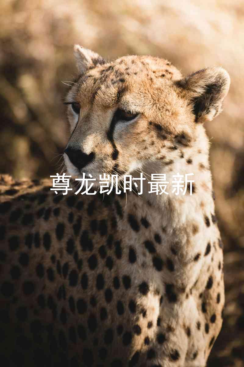 尊龙凯时最新