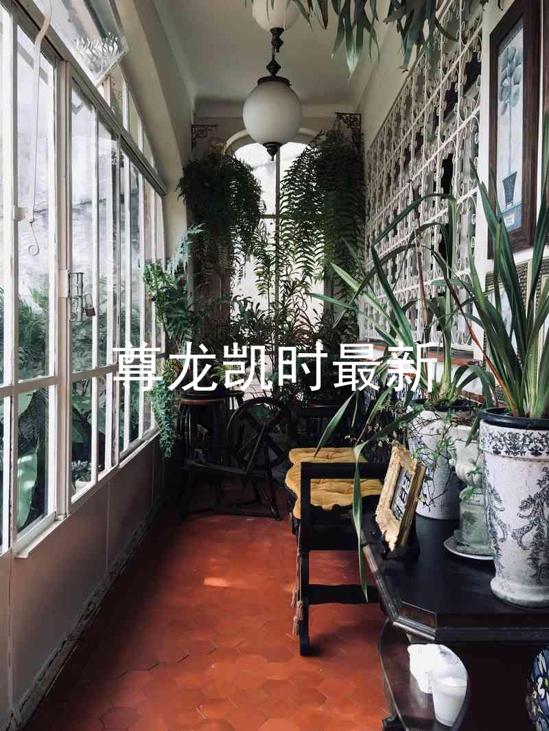 尊龙凯时最新